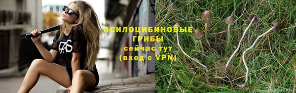 стафф Магас