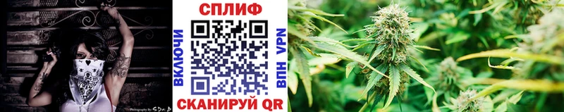 Бошки марихуана Ganja  цена наркотик  Новопавловск 